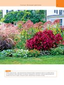 Цветники. 95 простых композиций для любого уголка сада — фото, картинка — 13