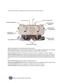 Вязание на машине. Самое полное и понятное пошаговое руководство для начинающих — фото, картинка — 31