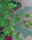 Современное ажурное вязание. Рельефные ковры — фото, картинка — 3