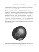 Как подружить гены в клетках. Коктейль молодости, светящиеся котики, напечатанные органы и другие прелести науки — фото, картинка — 24