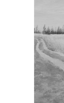 Компонент — фото, картинка — 1