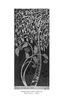 Русская березка. Очерки культурной истории одного национального символа — фото, картинка — 4