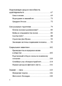 Эволюция человека — фото, картинка — 3