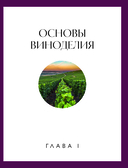 Вино к еде. Искусство идеального сочетания — фото, картинка — 12