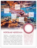 Кто живёт под водой? — фото, картинка — 5