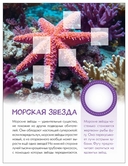 Кто живёт под водой? — фото, картинка — 6