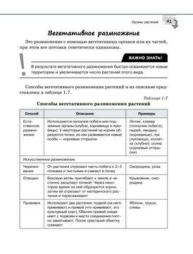 Справочник по биологии для 5-9 классов Д. Соловков : купить в Минске в  интернет-магазине — OZ.by